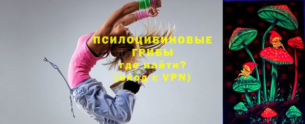 прущие грибы Алзамай