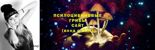 прущие грибы Алзамай